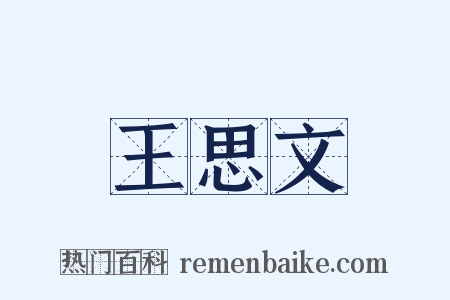 王思文是什么意思的图片